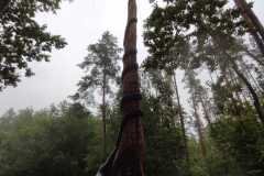1_Pazintine-kelione-i-Anyksciu-krasta-14